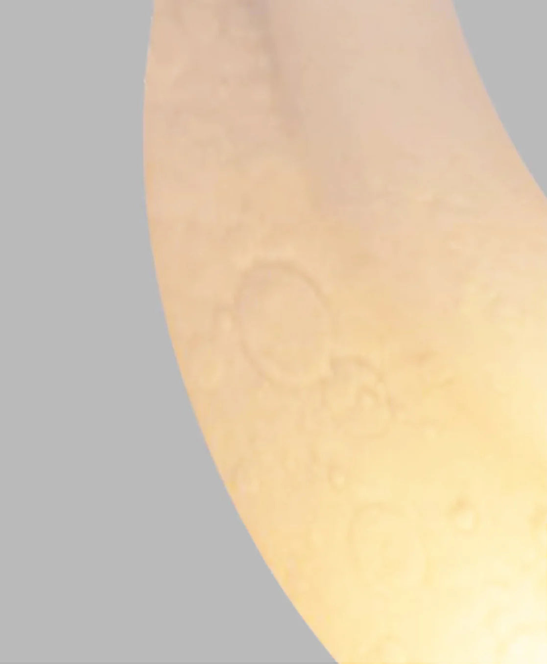 Moonlight Landscape Floor Lamp
